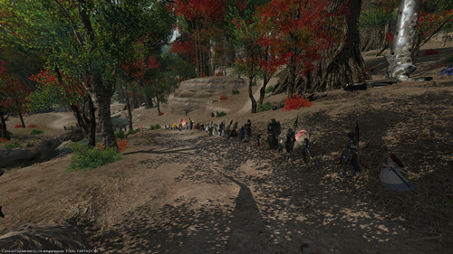 ff14_ラウバーンへ並ぶ様子2