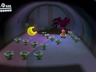 咲かせて洞くつの花-スーパーマリオオデッセイ