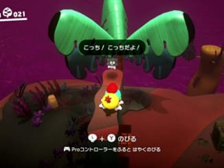 シマハナチャンに出会った！-スーパーマリオオデッセイ
