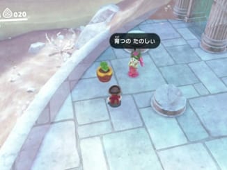 咲いた咲いた！トゲトゲ水路の種-スーパーマリオオデッセイ
