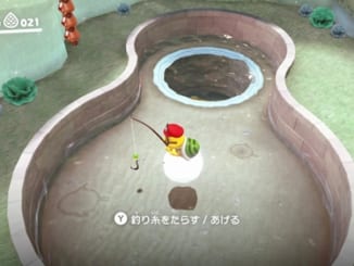プールでフィッシング！-マリオオデッセイ