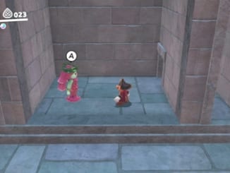 ナイショの部屋-スーパーマリオオデッセイ