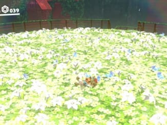 空中庭園の花ドロボウ-マリオオデッセイ