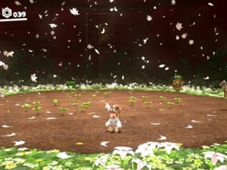 守れ！ヒミツの花バタケ-マリオオデッセイ