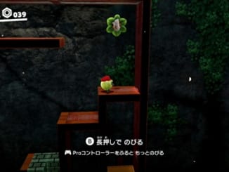 赤い迷路の木の実-マリオオデッセイ