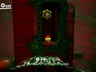 くぼみについた木の実-マリオオデッセイ