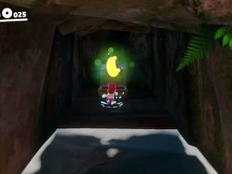 スーパーマリオオデッセイ＿滝つぼの宝箱2