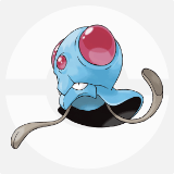 メノクラゲ