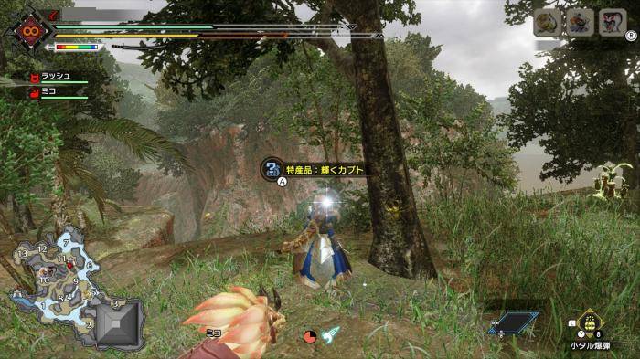 ネオゴッドカブト_入手場所3
